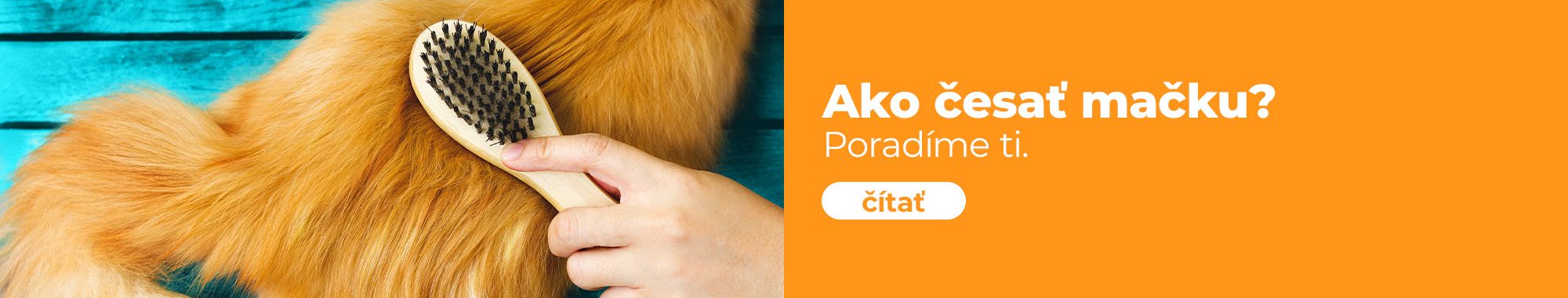 Ako česať mačku? Zaujímavé fakty o starostlivosti o srsť.
